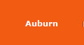 Auburn